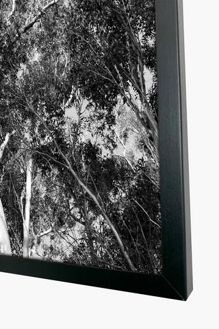 Framed Monochrome Branches, 60x90cm