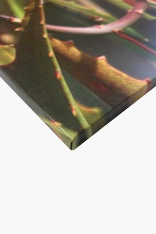 Sunbird Nectar Canvas, 40x60cm