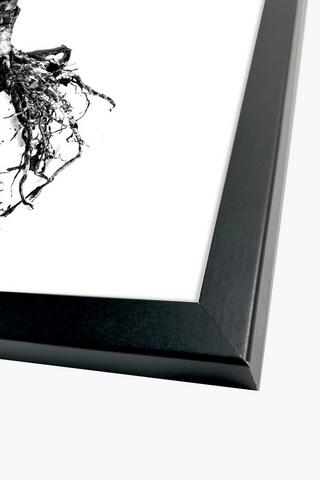 Framed Aloe Sketch, 60x90cm