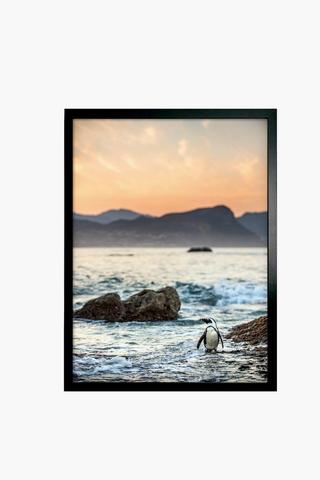 Framed Penguin Bay, 30x40cm