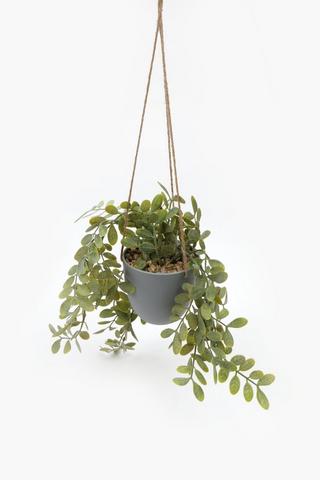Hanging Flat Leaf Trail, 37x74cm