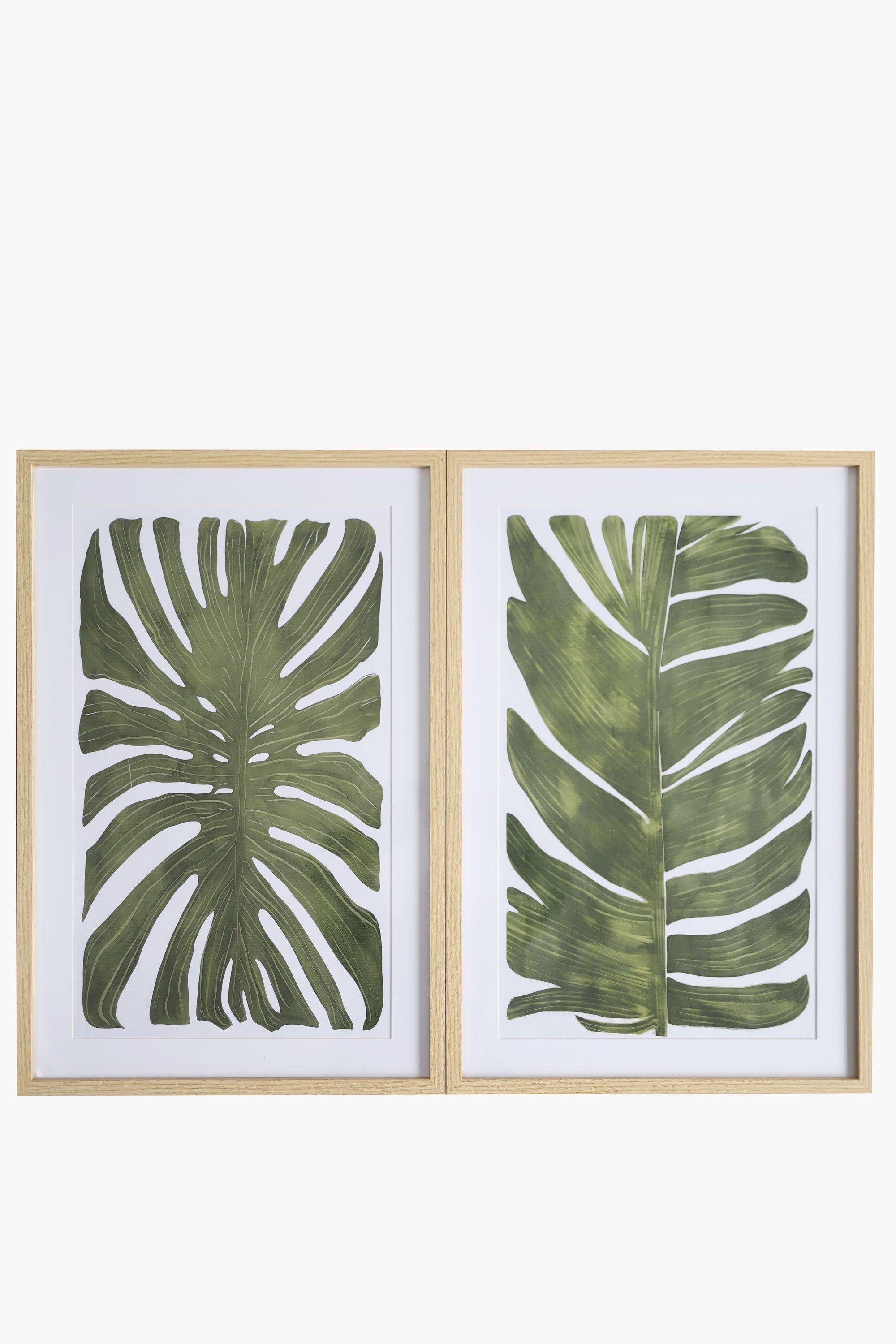 2 Piece Framed Floral Fronds, 40x60cm