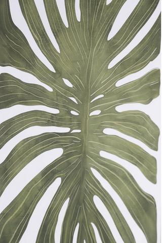 2 Piece Framed Floral Fronds, 40x60cm