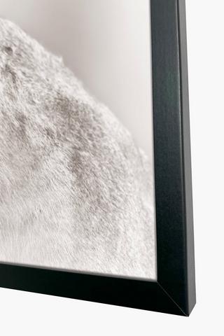 Framed Lioness, 40x60cm