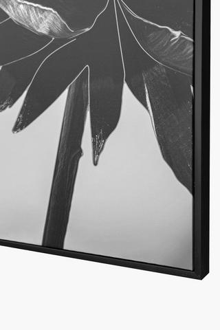 Framed Mono Dhalia, 60x90cm