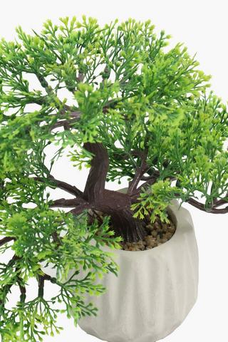 Rib Potted Bonsai, 9x23cm