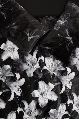 Velveteen Glasgow Monochrome Floral Duvet Cover Set