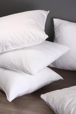 2 Pack Hollowfibre Polycotton Pillows