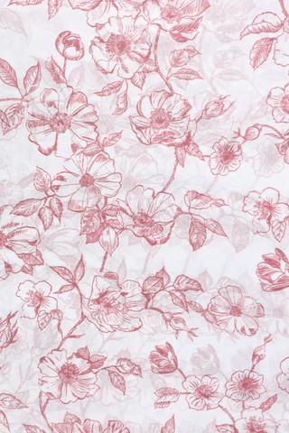 Isabela Floral Tissue Paper