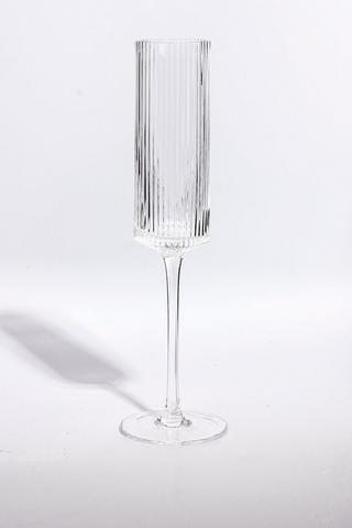 Palm Ribbed Champagne Glass
