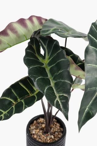 Long Stem Varigated Leaf, 11x43cm
