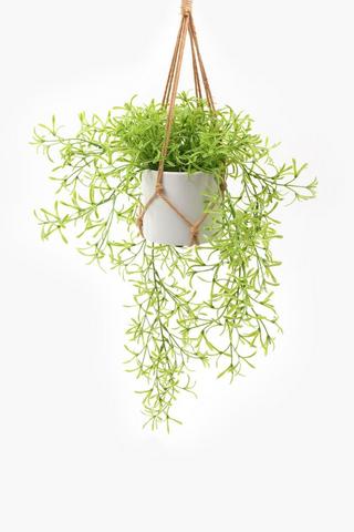 Hanging Rosemary Macrame, 10x23cm