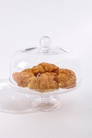 Glass Dome And Stand