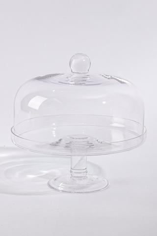 Glass Dome And Stand
