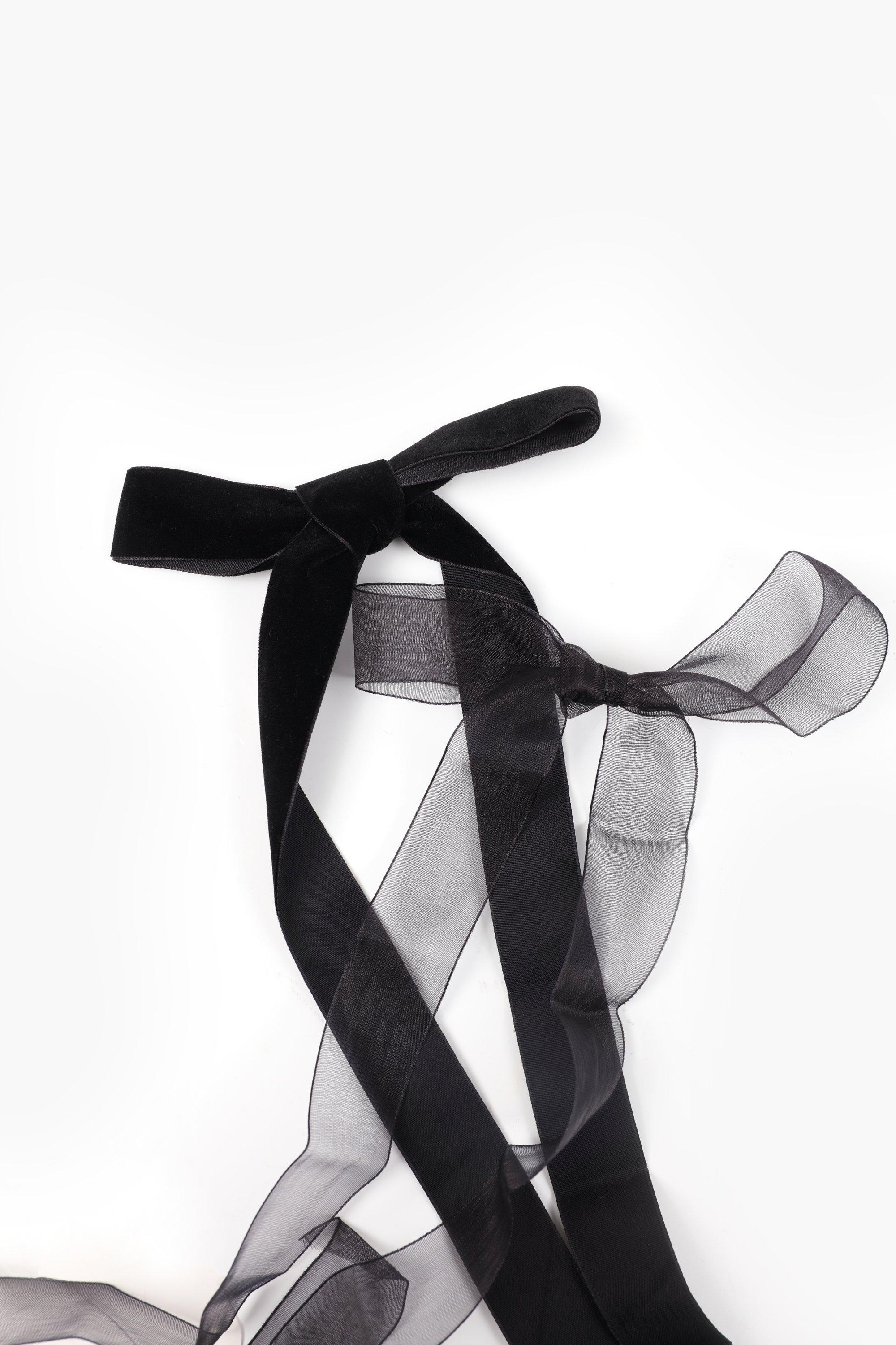 Sheer Velvet Ribbon Set