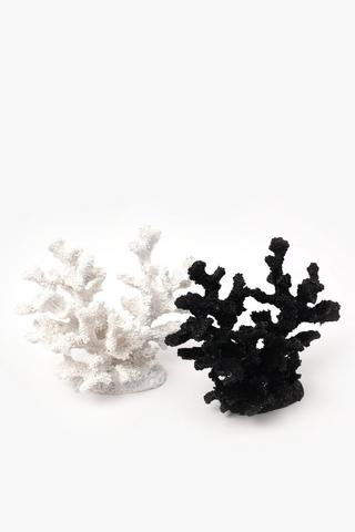 Resin Coral, 10x15cm