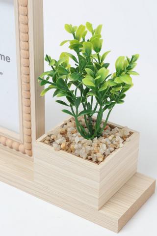 Beaded Wooden Frame And Plant Set