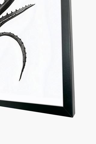 Framed Aloe, 60x90cm