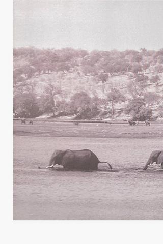 Printed Elephants Canvas, 135x45cm