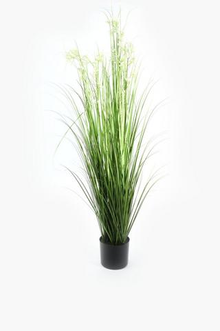 Long Grass In Plastic Pot, 35x120cm