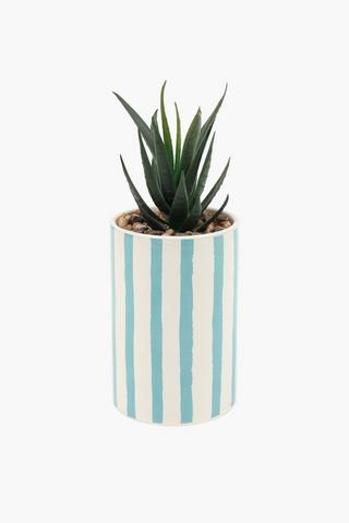 Agave In Stripe Pot, 7x21cm