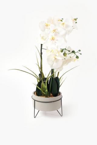 Multi Stem Orchid On Metal Stand, 19x72cm
