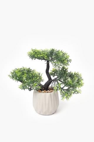 Bonsai In Cement Pot, 7x23cm