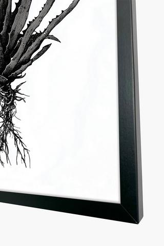 Framed Aloe, 60x90cm