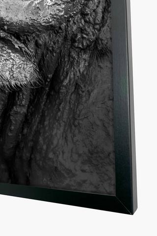 Framed Buffalo, 40x60cm