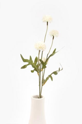 Dandy Single Stem, 52cm
