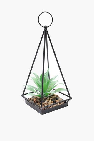 Agave In Wire Diamond, 11x22cm