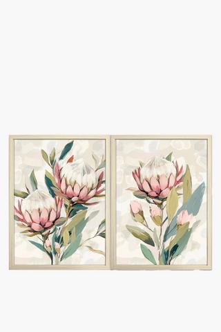 Framed 2 Pack Protea Canvas, 30x40cm