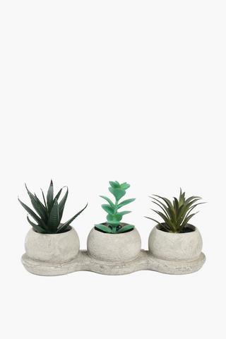 Succulent Trio In Cement Pots, 23x12cm