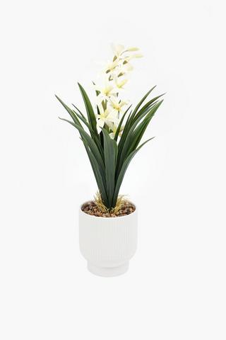 Wild Orchid Potted, 14x55cm