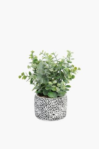 Succulent In Geo Pot, 9x23cm