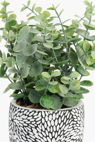 Succulent In Geo Pot, 9x23cm