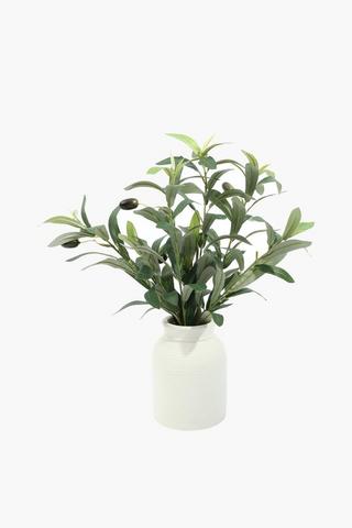 Olive Leaves In Ceramic Jug, 10x42cm