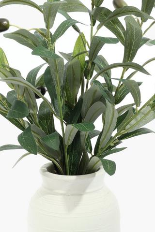 Olive Leaves In Ceramic Jug, 10x42cm
