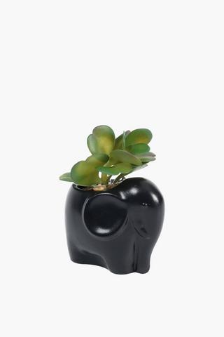 Mini Ellie Succulent, 7x14cm