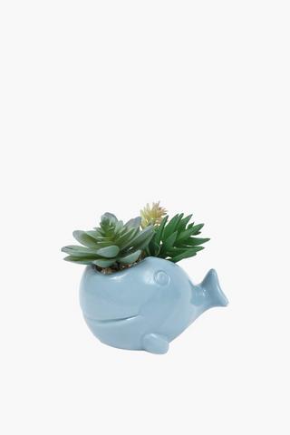 Succulent In Whale Pot, 12.5x8cm