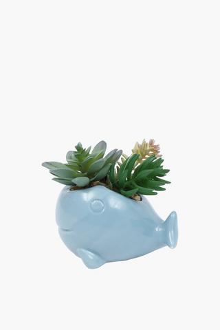 Succulent In Whale Pot, 12.5x8cm