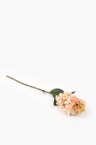 Hydrangea Single Stem, 75cm