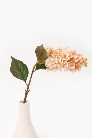 Hydrangea Single Stem, 75cm