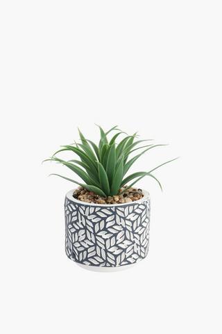 Spike Leaf In Geo Pot, 11x17cm