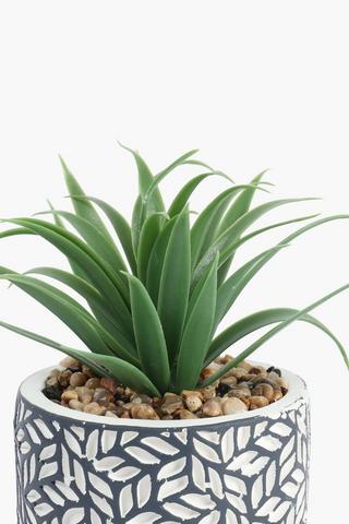 Spike Leaf In Geo Pot, 11x17cm