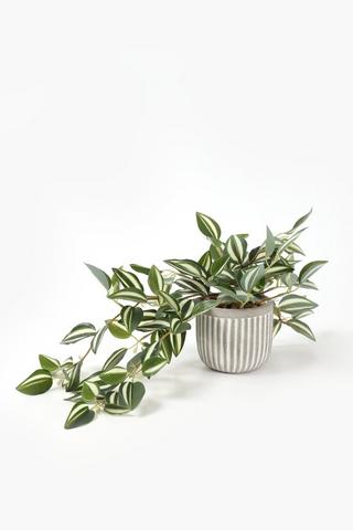 Trailing 2 Tone Leaf In Cement Pot, 10x40cm