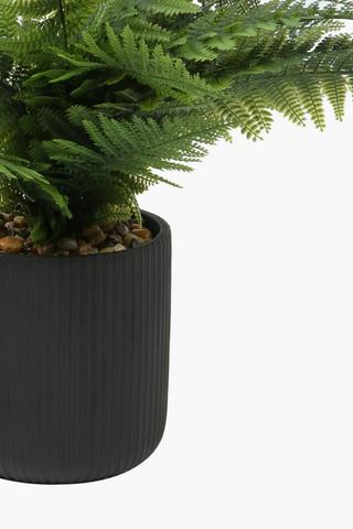 Fern In Ribbed Pot, 18x49cm