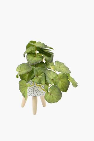 Vine Leaf In Standing Pot, 10x24cm