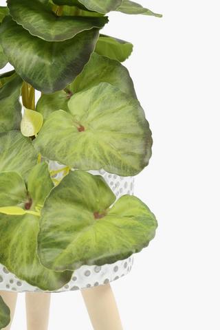 Vine Leaf In Standing Pot, 10x24cm