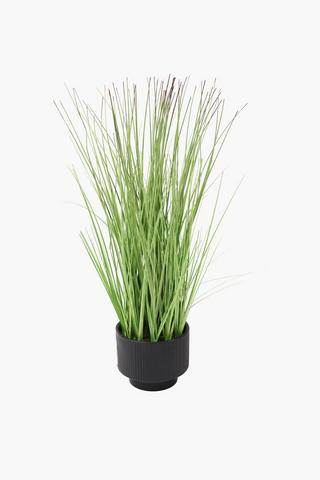 Long Grass In Ribbed Ceramic Pot, 12x50cm